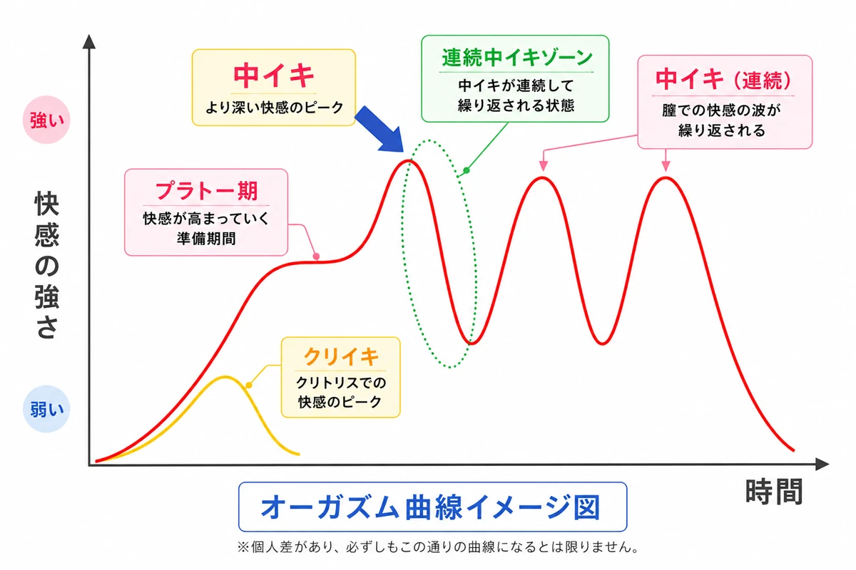 中イキとは？「オーガズム曲線」を使って解説